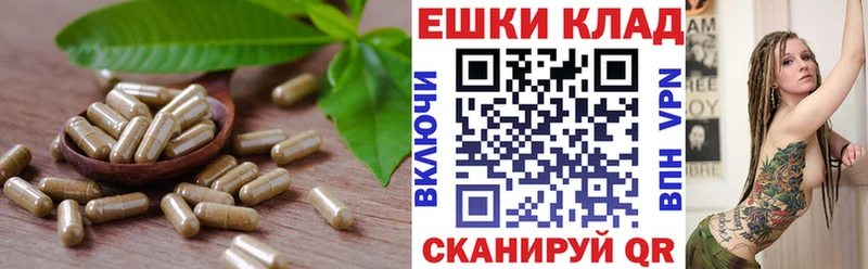 ЭКСТАЗИ диски  закладки  Демидов 