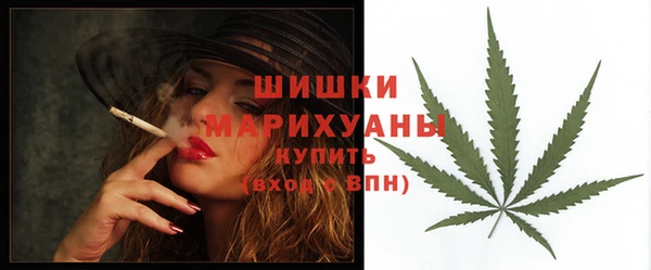 2c-b Горняк